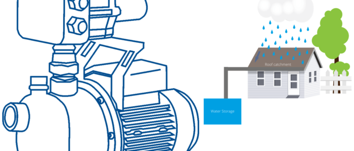 Rainwater Harvesting Illustration