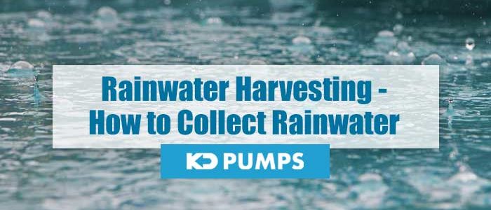 How to Collect Rainwater