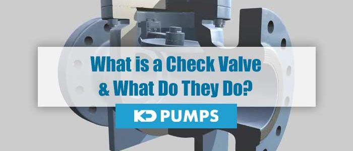 What is a Check Valve