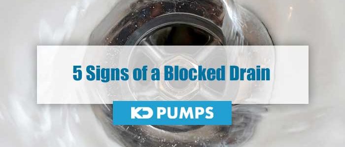 Signs of Blocked Drain