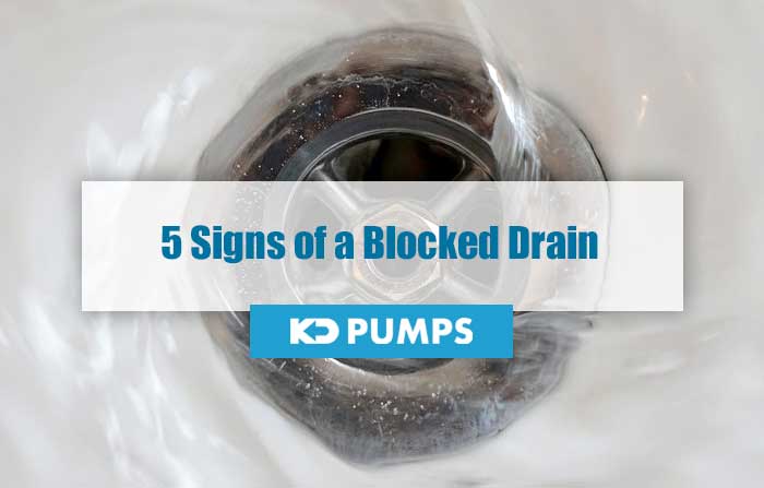 How to Unclog Your Blocked Drain - Boss Plumbing Los Angeles