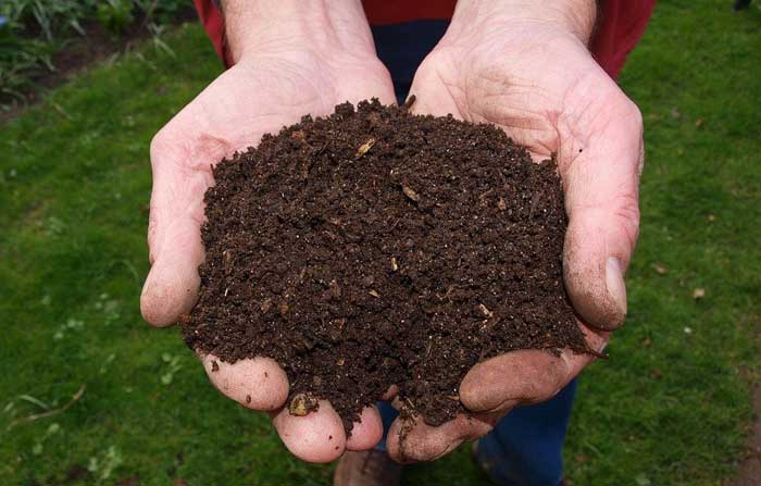 Handful of Compost