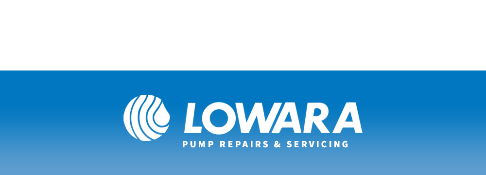 Lowara Pumps Repairs