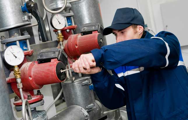 Plumber Repairing Circulating Pump