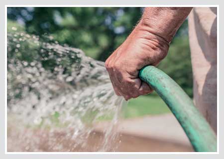 Hosing Garden