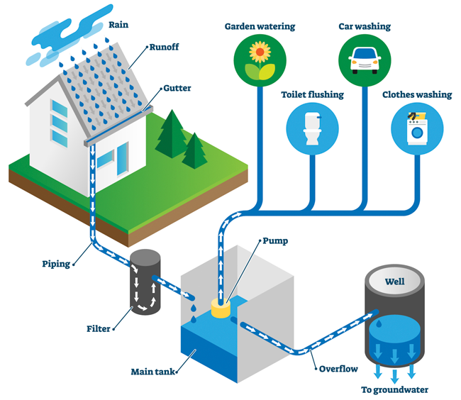 Rainwater Harvesting Diagram