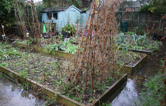 Flooded Allotment