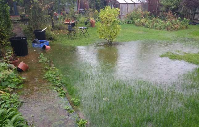 Heavily Flooded Garden