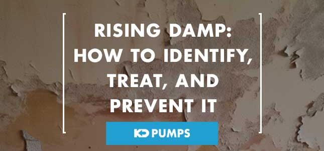 Rising damp