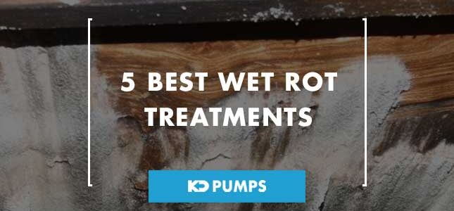 best wet rot treatments