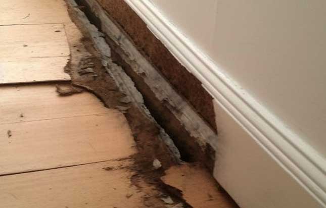 Identifying wet rot can be done with a simple check
