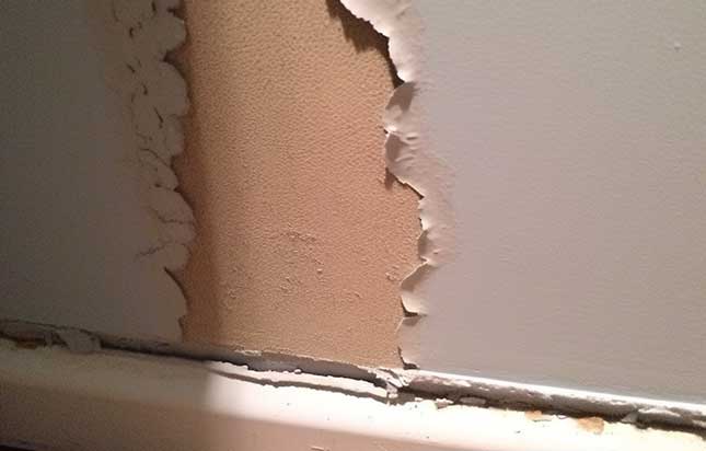 Hygroscopic salts drastically affect plaster