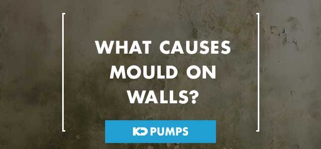 What causes mould on walls