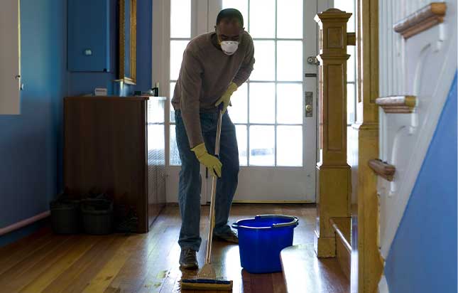 remove fungus in house clean