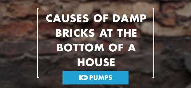damp bricks