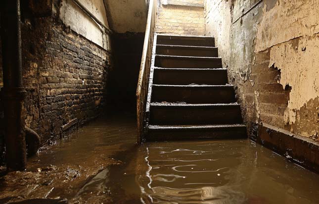 Flooded Cellar